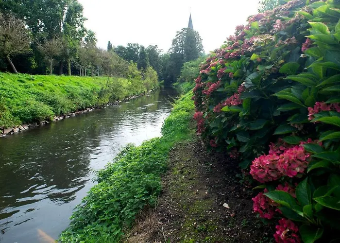 Gemuetliches In Stylischer Stadtvilla 戈赫