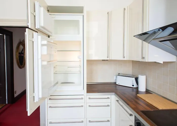 公寓 Gemuetliches In Stylischer Stadtvilla 戈赫